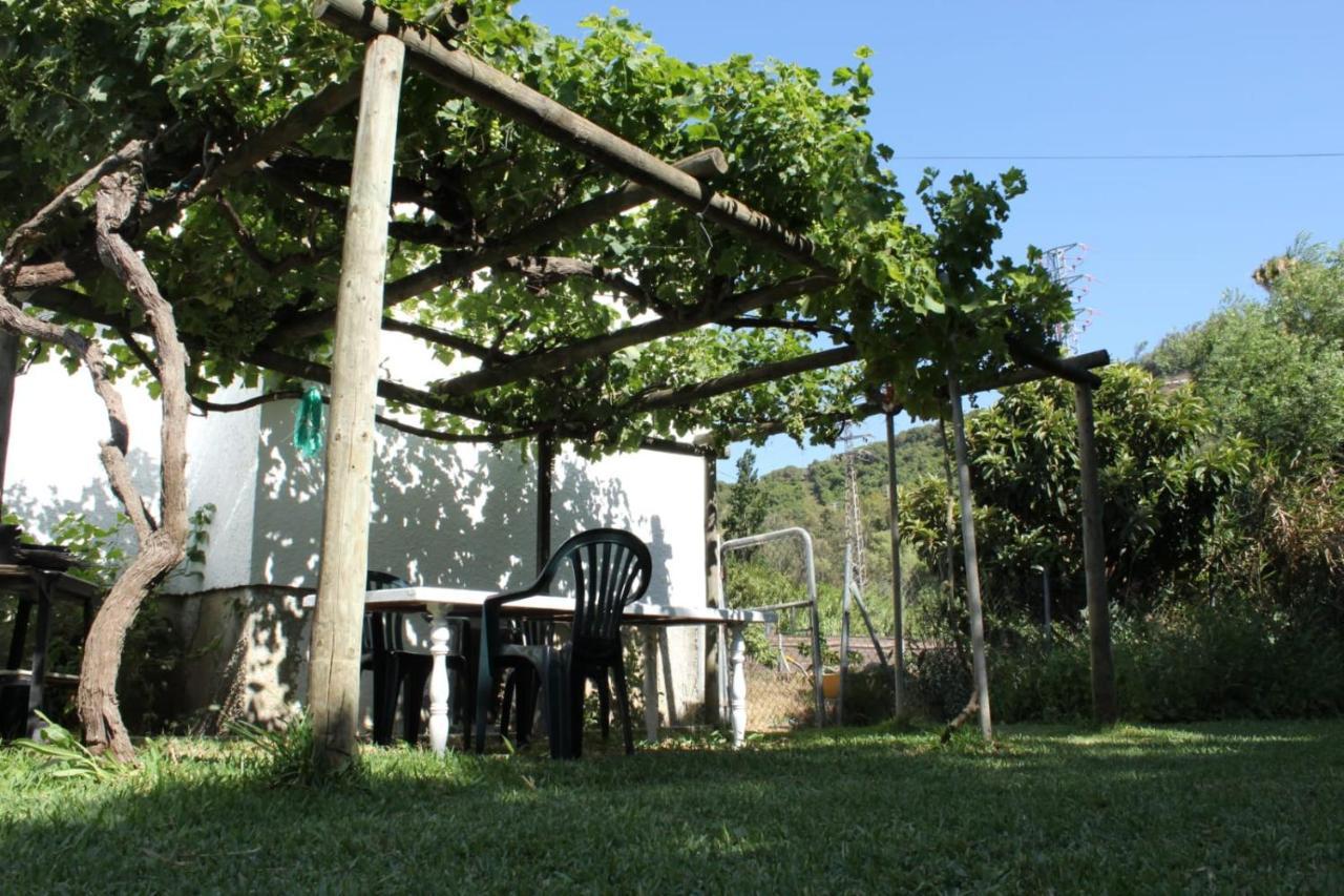 Casa La Maceta Villa Cádiz Buitenkant foto